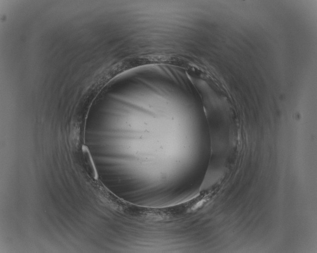 X0000084600697200703091929