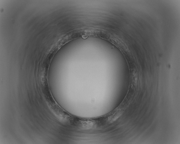 X0000084600698200703091929