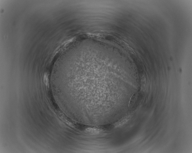 X0000084600699200703091929