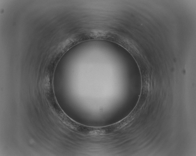 X0000084600700200703091929