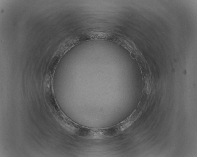 X0000084600701200703091929