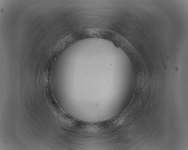 X0000084600702200703091929