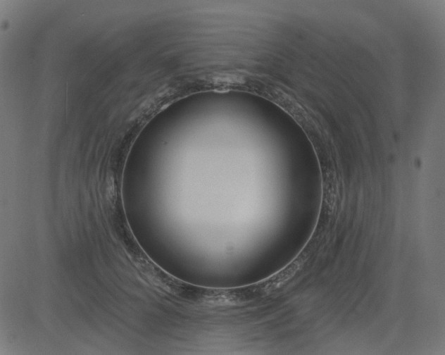 X0000084600704200703091929