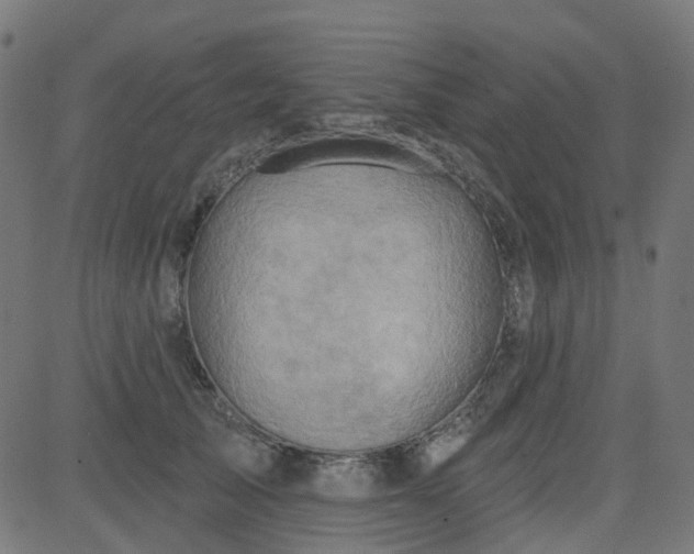 X0000084600705200703091929