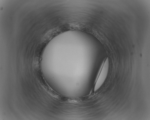 X0000084600706200703091929