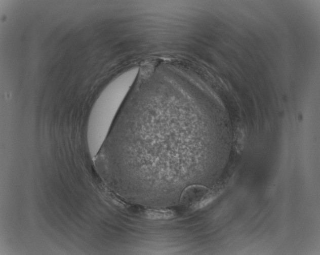 X0000084600707200703091929