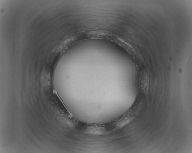 X0000084600708200703091929