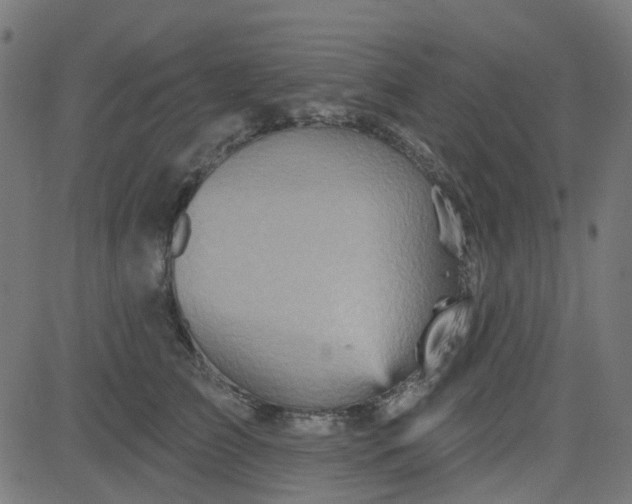 X0000084600709200703091929