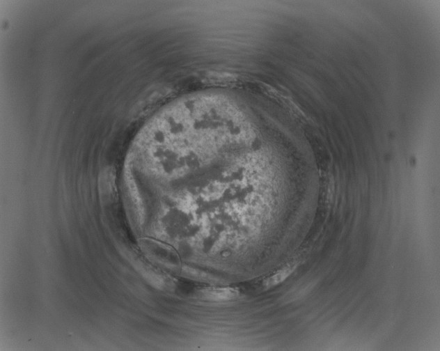 X0000084600711200703091929