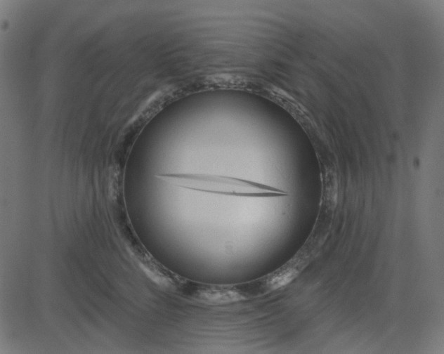 X0000084600712200703091929