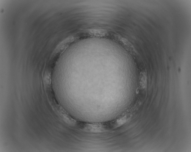 X0000084600713200703091929