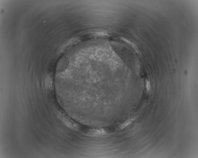 X0000084600715200703091929