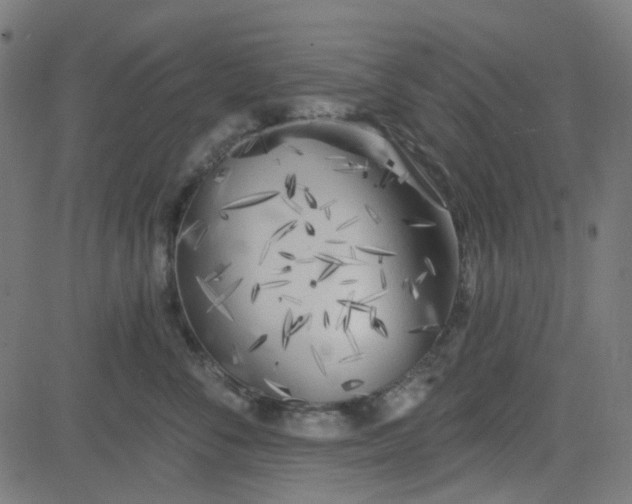 X0000084600716200703091929