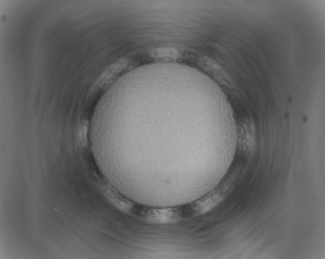 X0000084600717200703091929