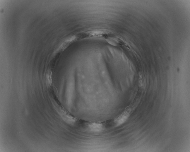 X0000084600718200703091929