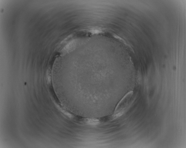 X0000084600719200703091929