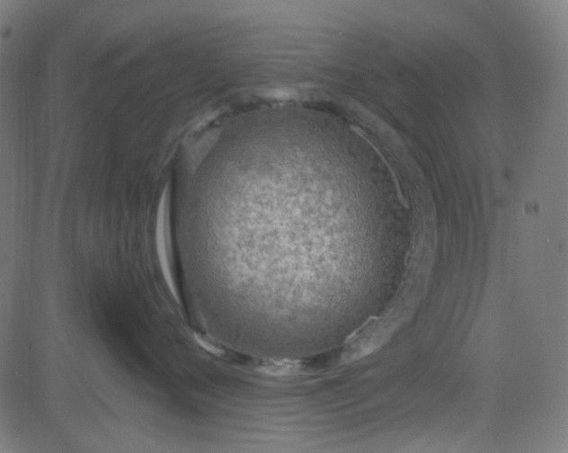 X0000084600720200703091929