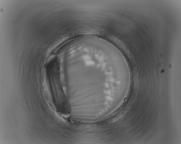 X0000084600721200703091928