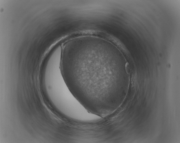 X0000084600722200703091928