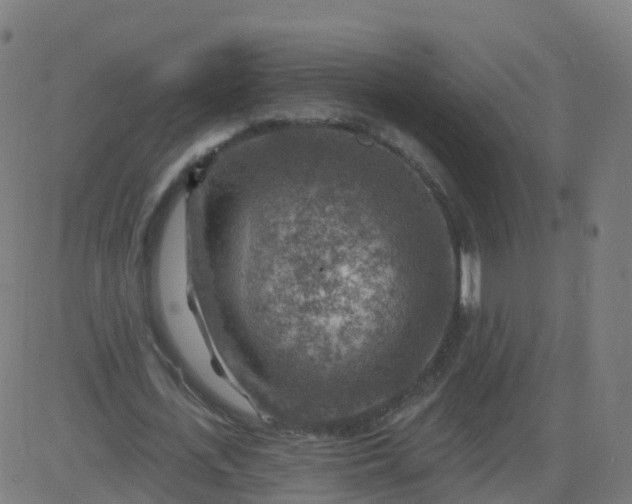 X0000084600723200703091928