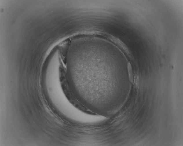 X0000084600724200703091928