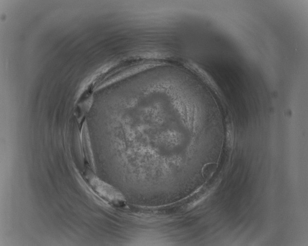 X0000084600725200703091928