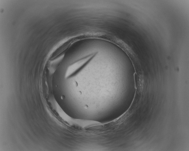 X0000084600726200703091928