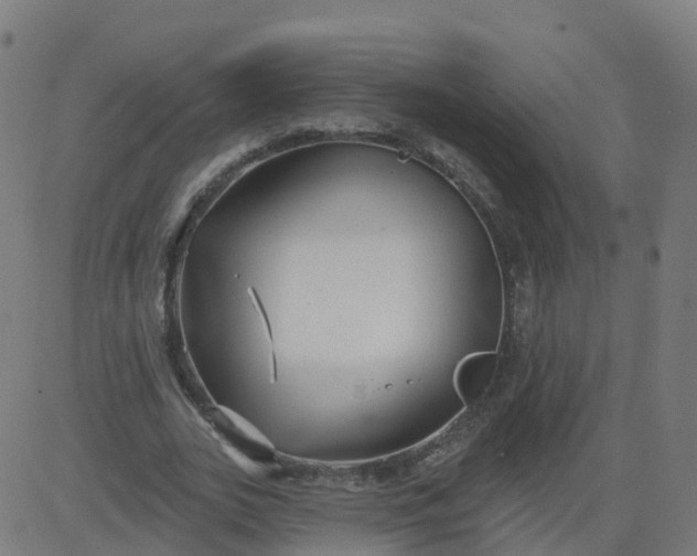 X0000084600727200703091928