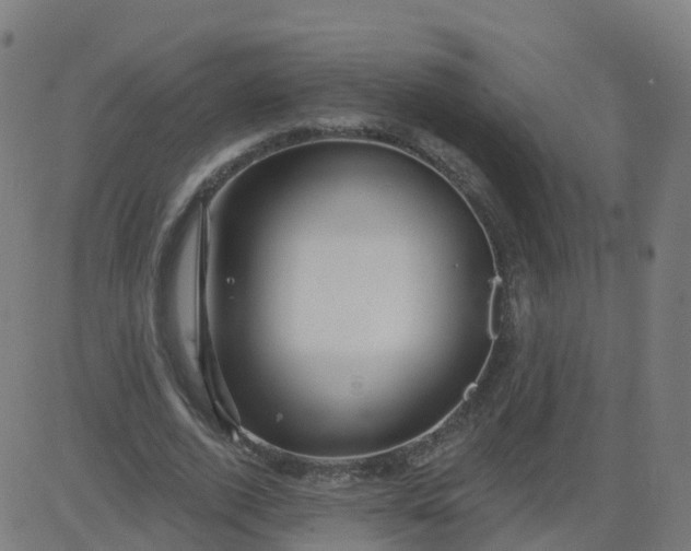 X0000084600728200703091928