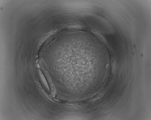 X0000084600729200703091928