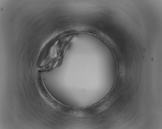 X0000084600730200703091928