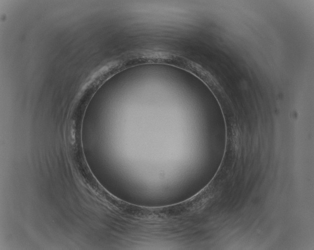 X0000084600731200703091928