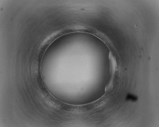 X0000084600732200703091928