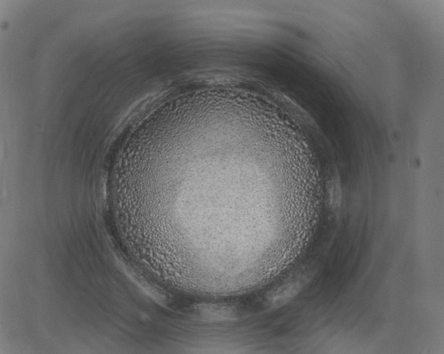 X0000084600733200703091928