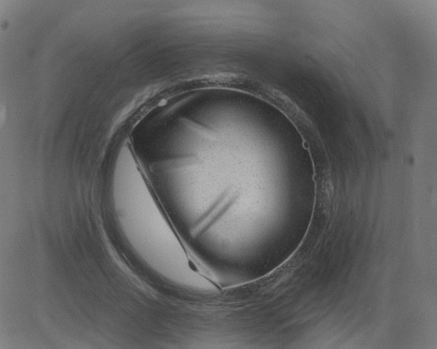 X0000084600734200703091928