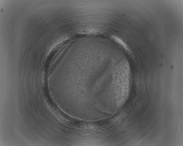 X0000084600735200703091928