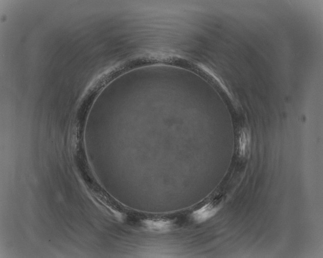 X0000084600736200703091928