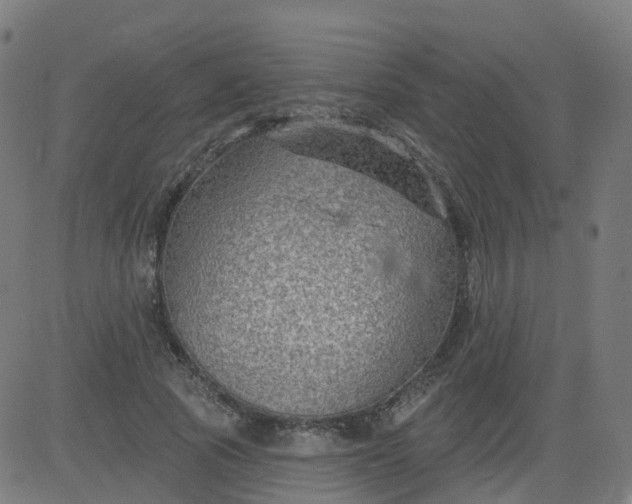 X0000084600737200703091928