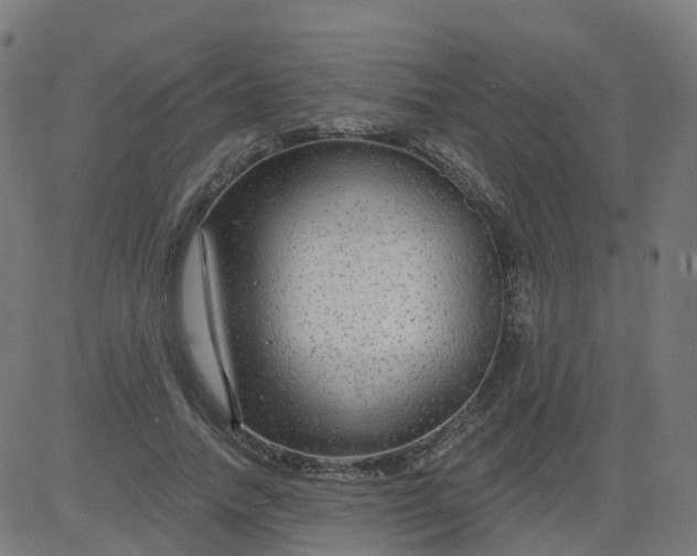 X0000084600738200703091928