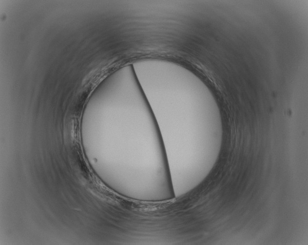 X0000084600740200703091928