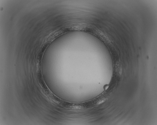 X0000084600741200703091928