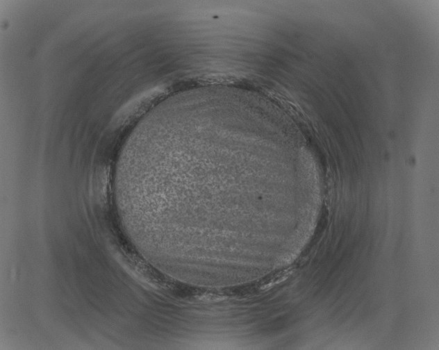 X0000084600742200703091928