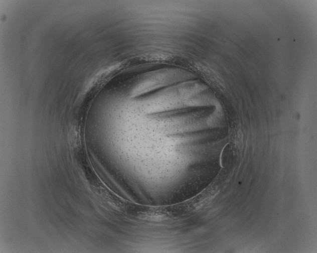 X0000084600743200703091928