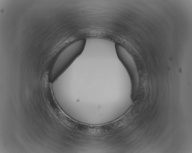 X0000084600744200703091928