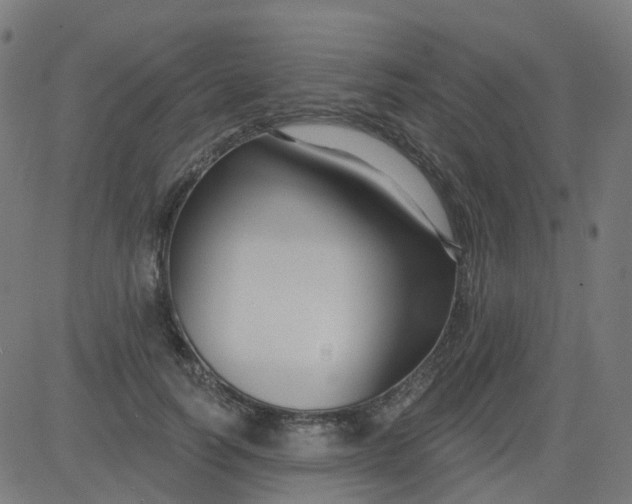 X0000084600746200703091928