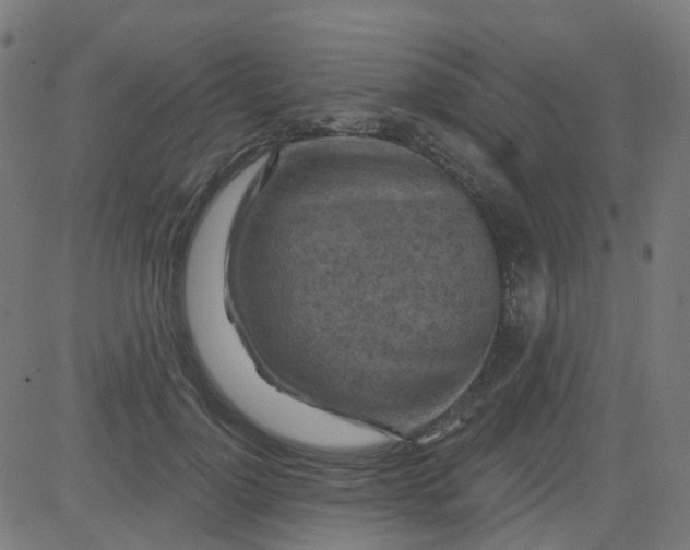 X0000084600748200703091928