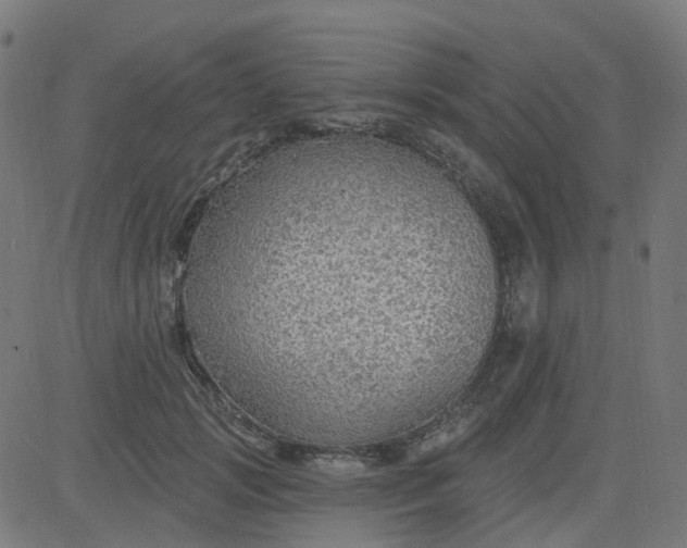 X0000084600749200703091928