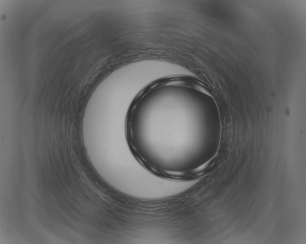 X0000084600750200703091928