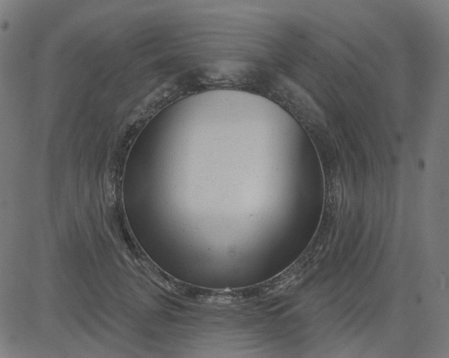 X0000084600751200703091928