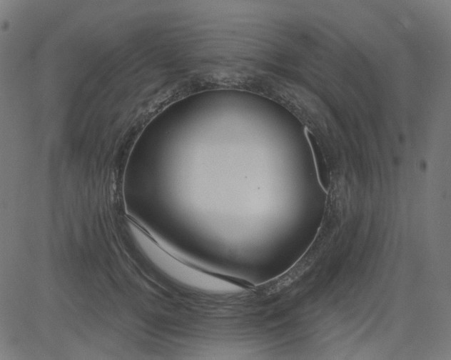 X0000084600752200703091928